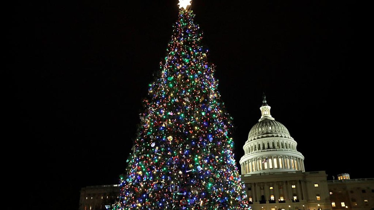 Weihnachtsbaum-Knappheit in den USA: 'Menschen brauchen Bäume'
