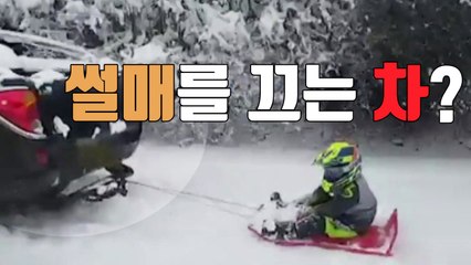 [자막뉴스] 이렇게 썰매 끌어주면 큰일납니다 / YTN