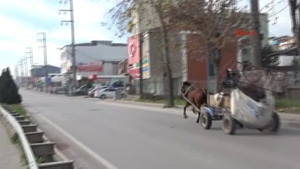 Kocaeli Ters Yöne Giren At Arabasına Çarpmamak İçin Direksiyonunu Kırınca Taksiye Çarptı