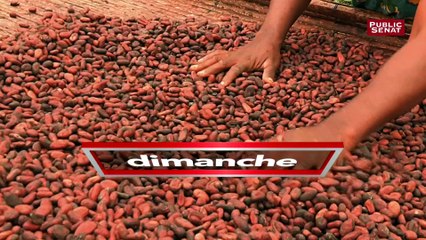 Bande annonce : Les dessous de la mondialisation - Chocolat, le prix de l'indépendance (Togo)