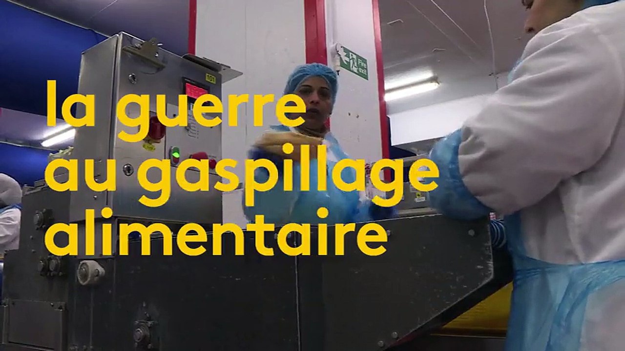 Recyclage : une entreprise fait de la bière avec du pain