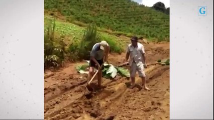 Moradores de área rural protestam contra falta de asfaltamento