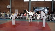 Challenge du judo club Auchellois 2017