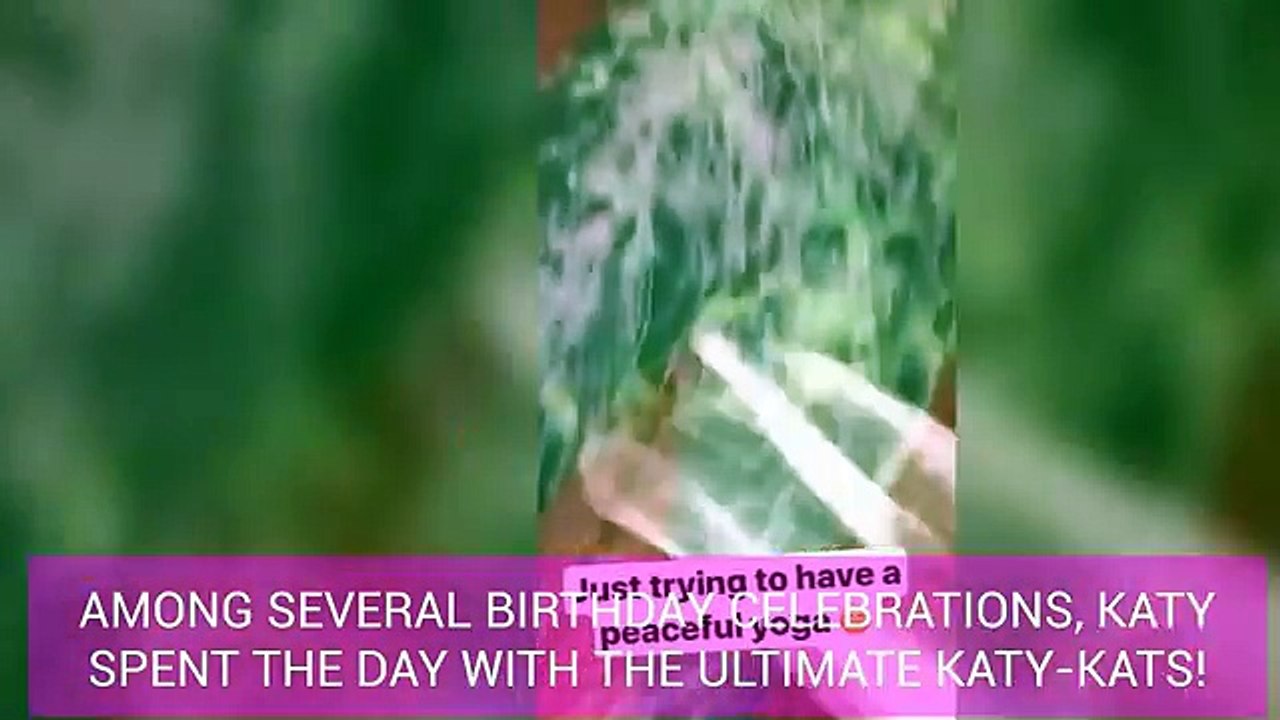 Katy Perry's Fan Are the Craziest and Coolest! _ Celeb Tribe