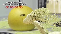 EGG NOG GALLON CHALLENGE! [Grapefruit & Pear]