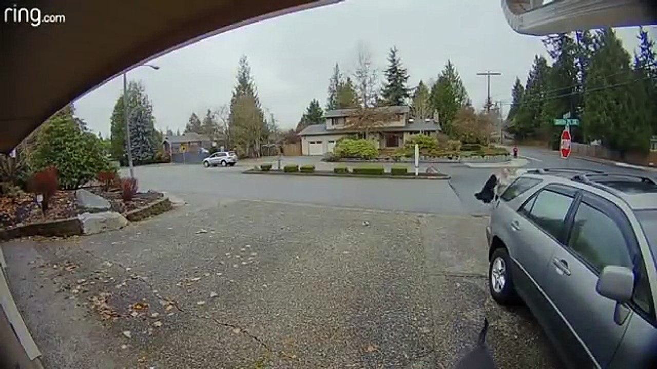 She catches the thief girl of a package on her porch!!