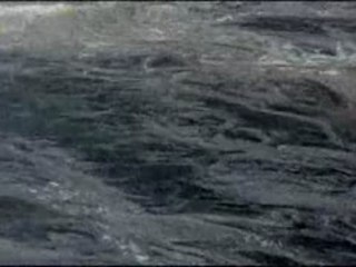 L'Arche des déluges 2