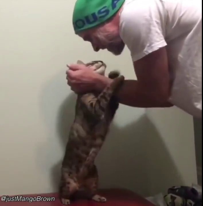 Cet homme et son chat son les meilleurs amis du monde... Incroyable