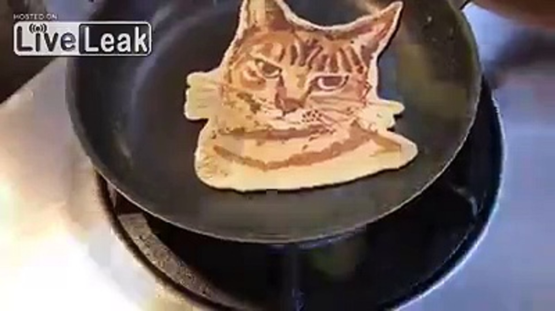 Кот с блинами