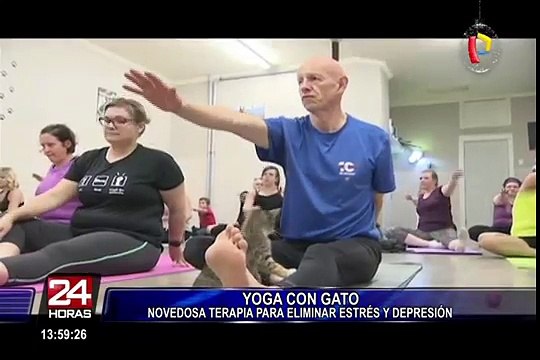 Yoga con gatos: una novedosa terapia para reducir el estrés