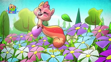 Squirrel - Toyor Baby English  طيور بيبي انجليزي