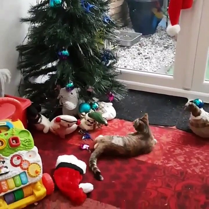 Quand ton chat détruit ton sapin de Noël