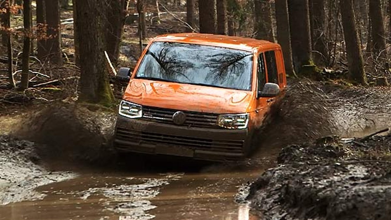 Volkswagen Rockton and PanAmericana