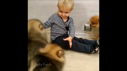 You'll never be as happy as this little boy and his dogs