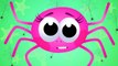 Healthy Habits _ Sneezy Itsy Bitsy Spider and Chase Clean her Web _ Nursery Rhymes by Little Angel-0LwJLEm0-8I