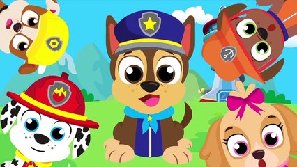 Learning Colors with Paw Patrol _ Chase, Marshall, Skye, Rubble by Little Angel-S10XMxZ8xgk