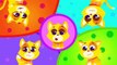 Where Are My Whiskers Can you Help Tom the Cat Find His Whiskers _ Fun Animal Song by Little Angel-g-D-j_Y0Dx4