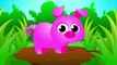 Where is my Piggy Tail Help this Cute Pink Piggy Bounce Again _ Songs by Little Angel-STiiZu5FYkI