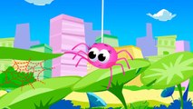 Where Is My Web _ Help Itsy Bitsy Spider Find her Web _ Fun Songs for Kids by Little Angel-PY3aOUQy-3w