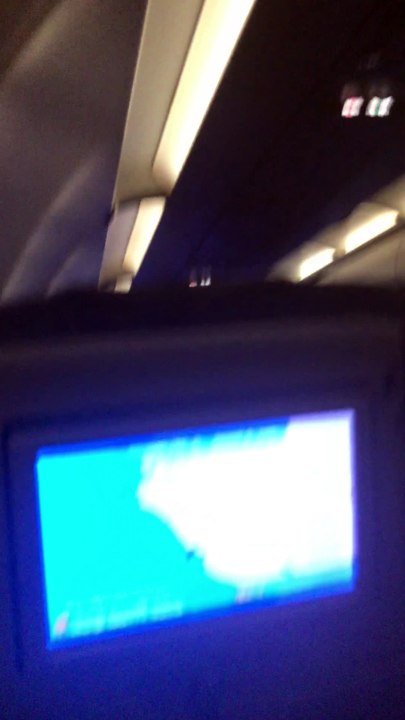 dentro del avion