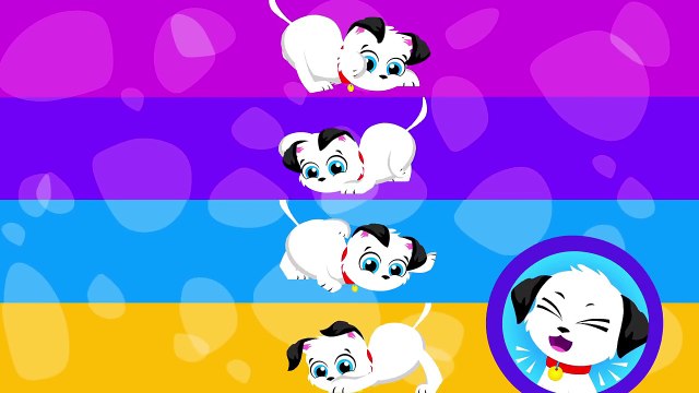 Where Are My Spots 101 Dalmatian Puppies! by Little Angel (Baby Shark, Tiger, Stripes, Bum)-VcdIXVHMxpg