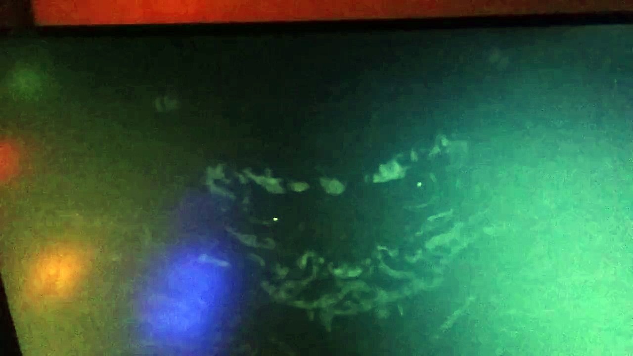 Ff