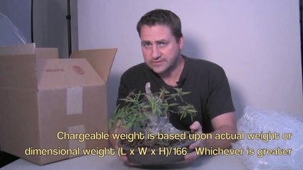How to Pack & Ship a Bonsai Tree-dE_Hq-m-atE