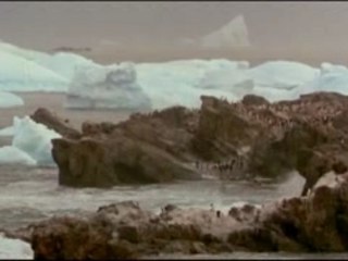 L'arche des déluges 3