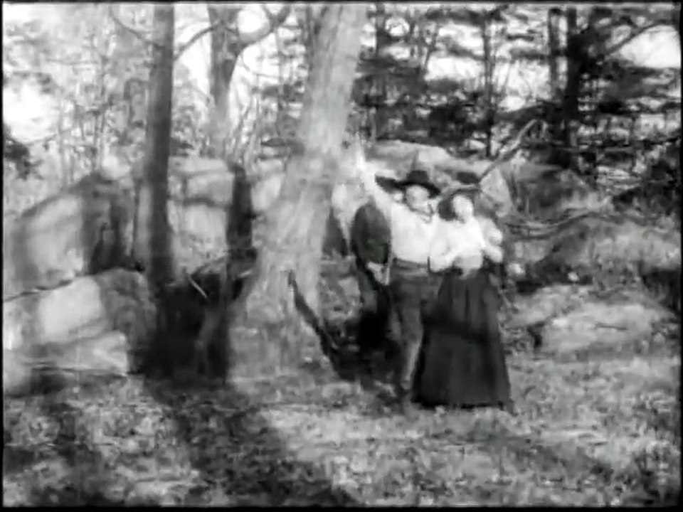 Rescued from an Eagle's Nest (1908)