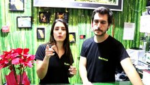 #TORTUGARESPONDE - EPISÓDIO 1