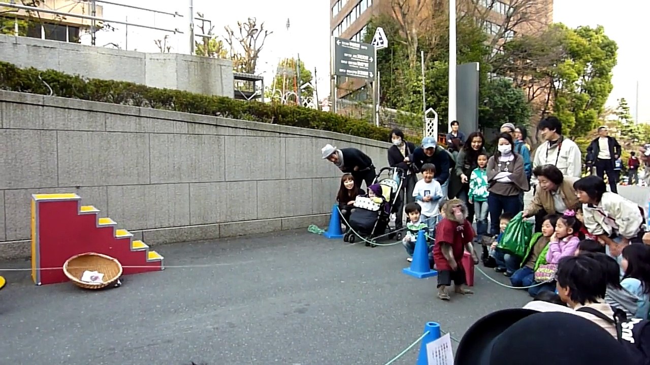 Monkeys show at Tokyo tower