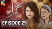 Gumraah Episode 29 HUM TV Drama 12 December 2017