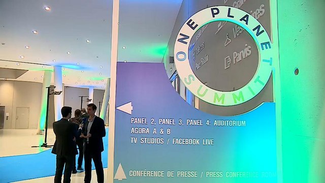 Саммит в Париже: успех или разочарование?