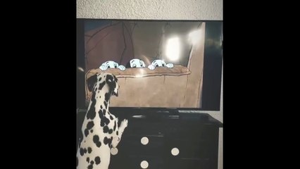 Parvenez-vous à deviner le film préféré de ce chien dalmatien ?