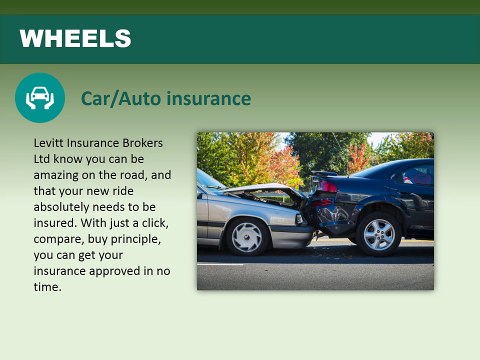 Levitt Insurance Brokers Ltd. - Registered insurance brokers