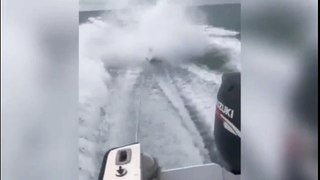 man dragged live shark behind speedboat in sick video