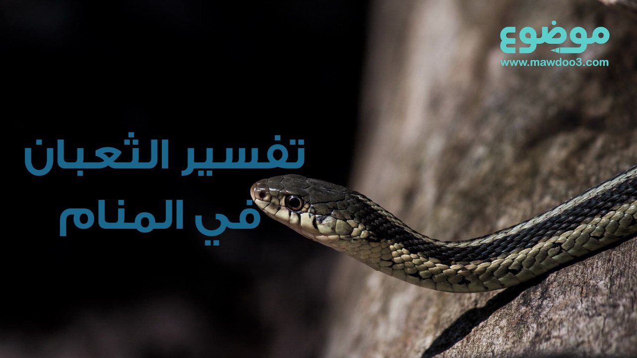 الثعبان في المنام