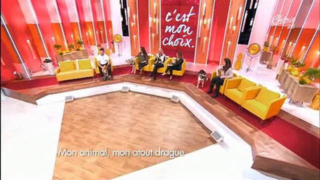 Dans C'est mon choix , un homme avoue se servir de sa chienne pour... draguer ! Regardez