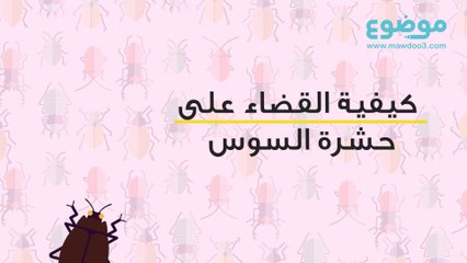 القضاء على حشرة السوس