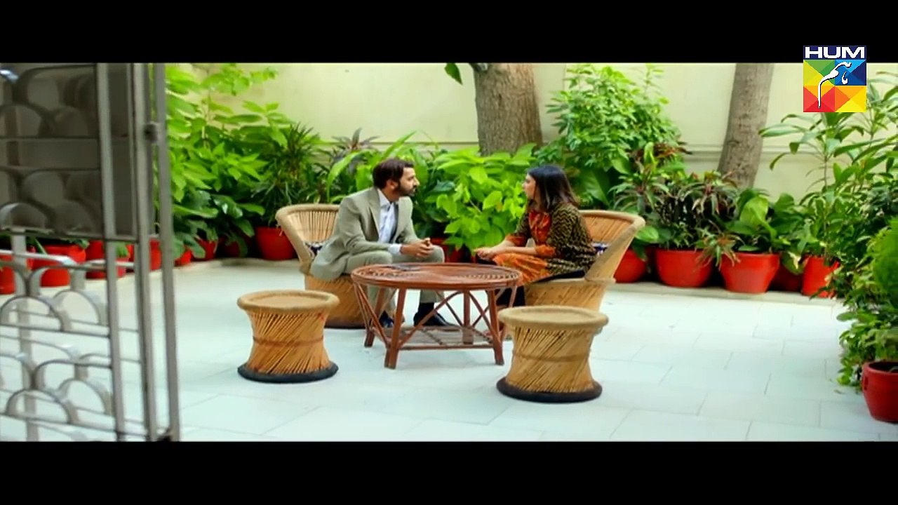 Gumraah Episode 29 HUM TV Drama   12 December 2017