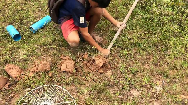 Traditional Ideas Quick Bird Trap Using Electric Fan Guard - How To Make Bird Trap And PVC That Work