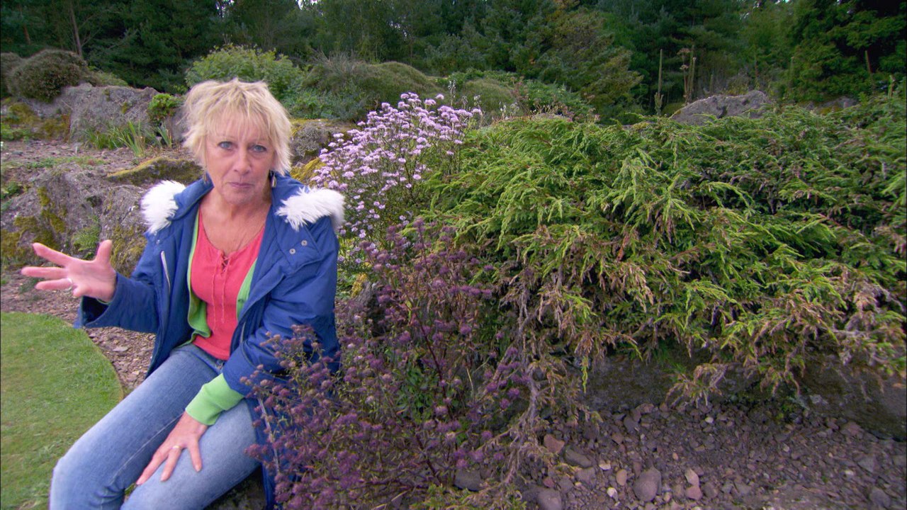 Great British Garden Revival, Rock Gardens and...