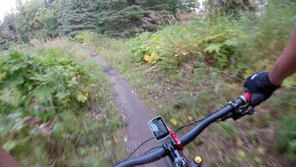 ขับจักรยานแล้วเจอหมี - mountain bike meet bear