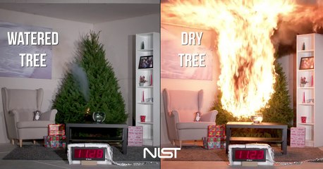Sapin de Noël en feu  Arrosé vs Non arrosé