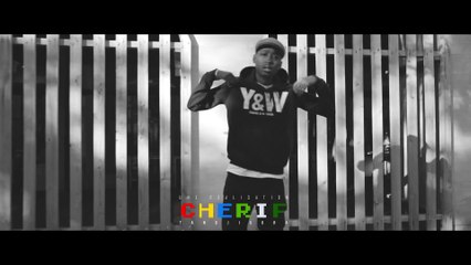 Guizmo - Gangsta Paradise - Y&W.