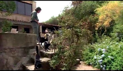 [EXTRAIT] Jacques le misanthrope - Dutronc, la vie malgré lui - 15/12/2017