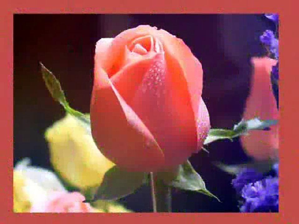 14 ĐIỀU PHẬT DẠY