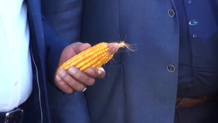 Çiftçilerden İthal Hububat Tepkisi