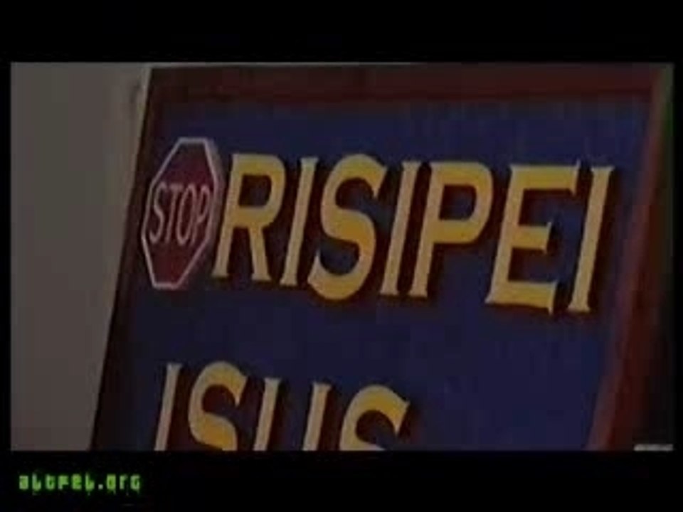 pirateria
