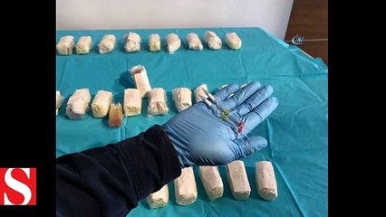 İstanbul'da rekor seviyede kobra zehri ele geçirildi